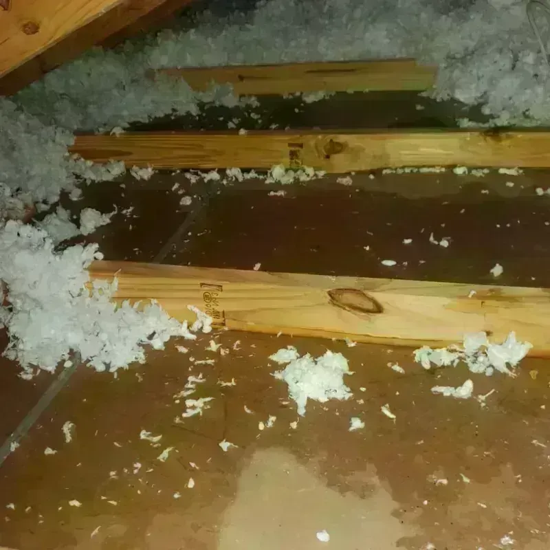 Attic Water Damage in Redwood City, CA