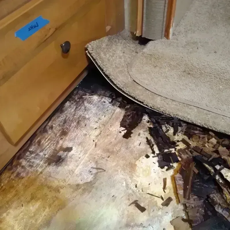 Wood Floor Water Damage in Redwood City, CA